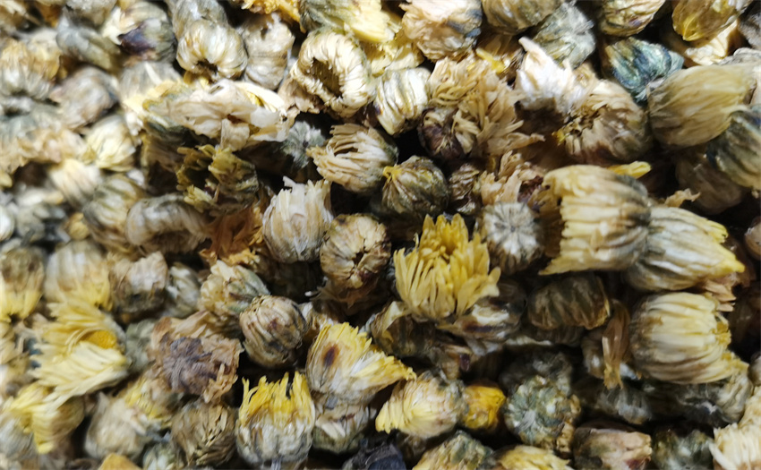 胎菊照片 胎菊产品 胎菊中药材 胎菊药材图片 什么是胎菊 胎菊图片介绍 药材胎菊