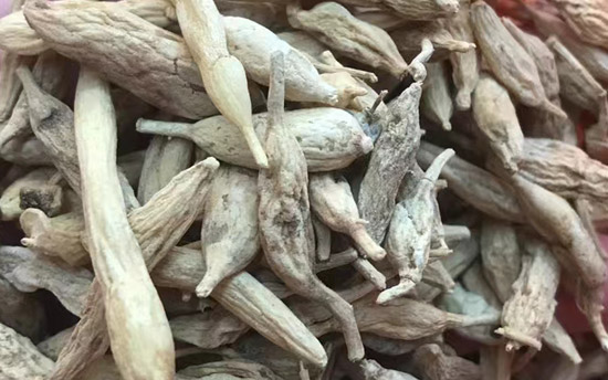 麦冬有什么好处,麦冬用法与用量,麦冬图片,麦冬药材,麦冬照片,麦冬特征,麦冬药材图片