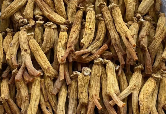 高丽参照片,高丽参中药材,高丽参药材图片,什么是高丽参,高丽参图片介绍,药材高丽参,高丽参高清图