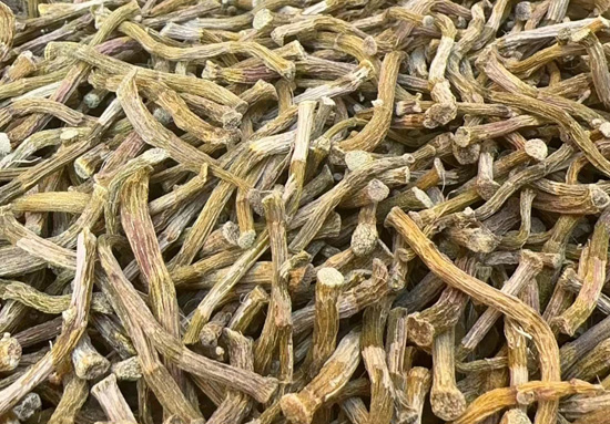石斛特征,石斛产品,石斛图片,石斛产地分布,石斛照片